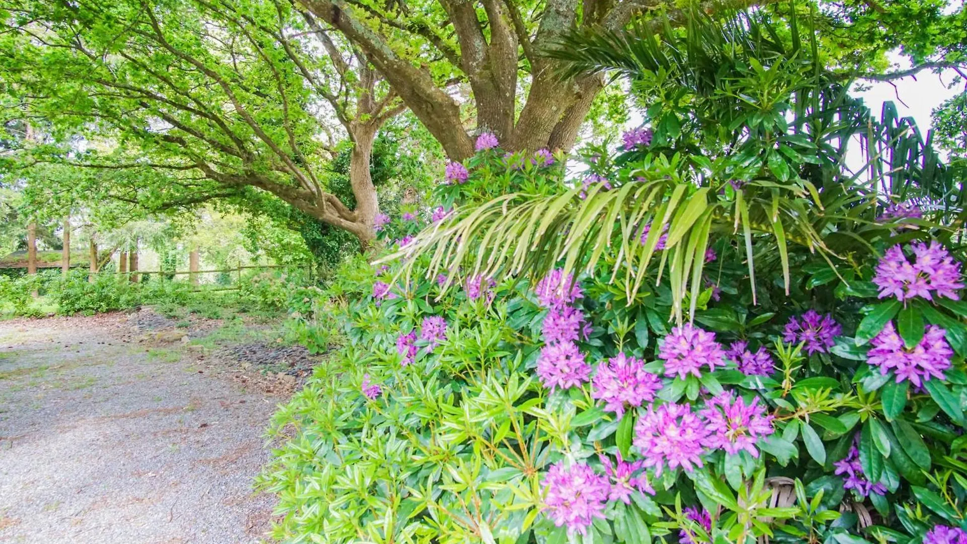 Casa vacanze -Petrel- Maison De Campagne Avec Grand Jardin Concarneau